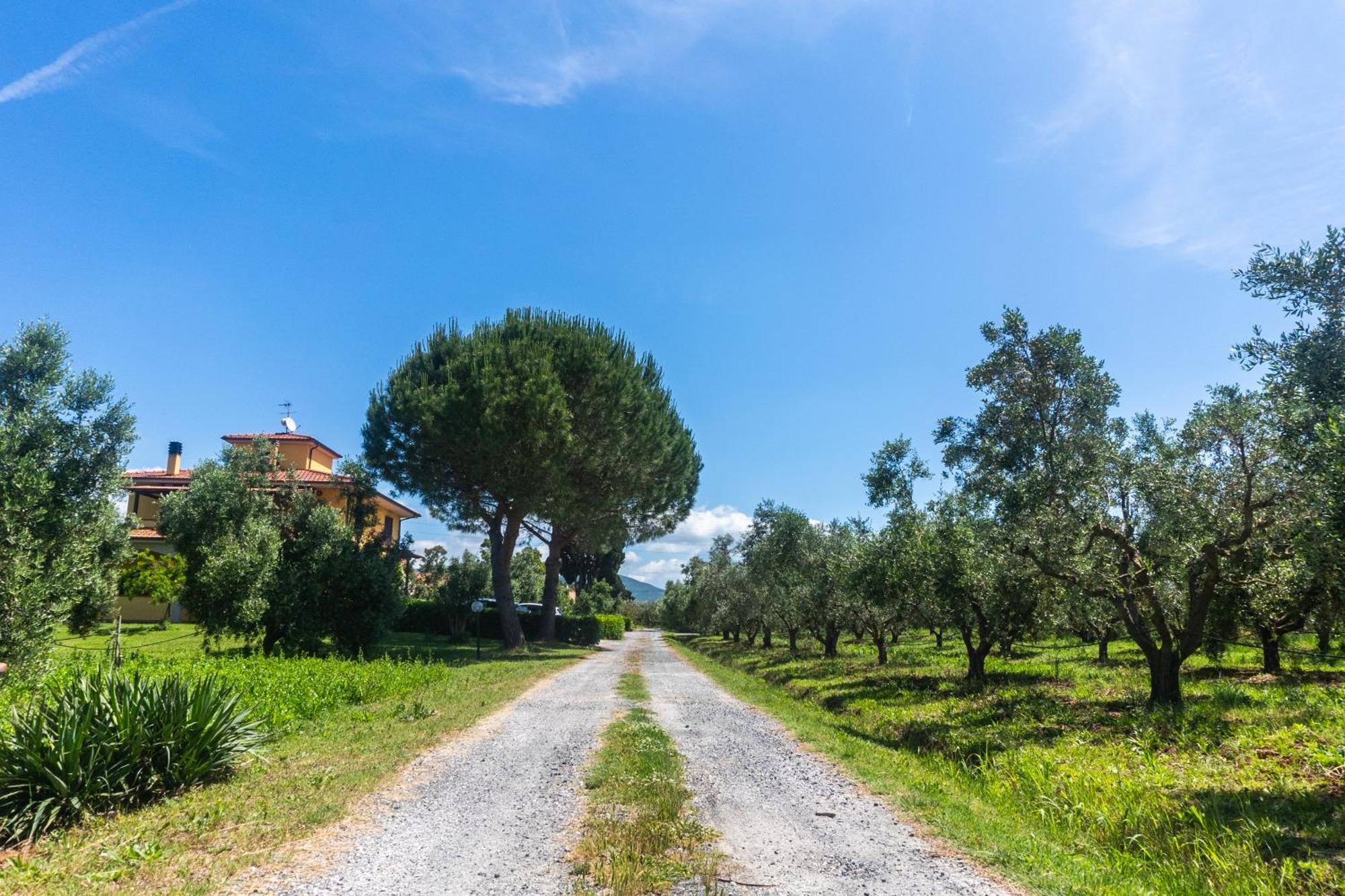 Agriturismo Il Tripesce Vada Exterior foto
