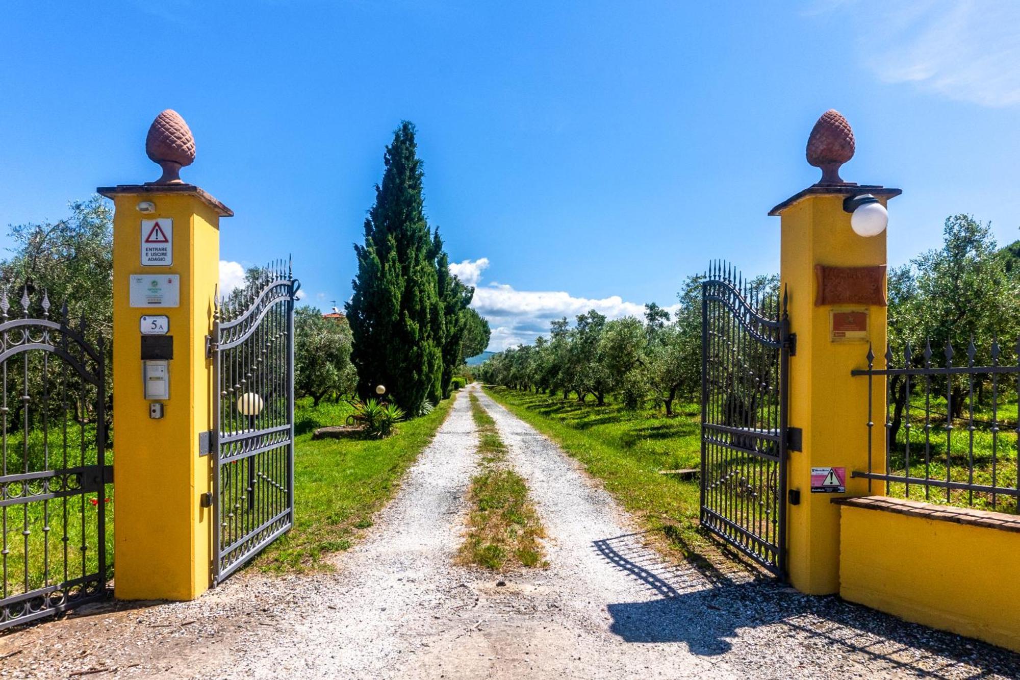 Agriturismo Il Tripesce Vada Exterior foto