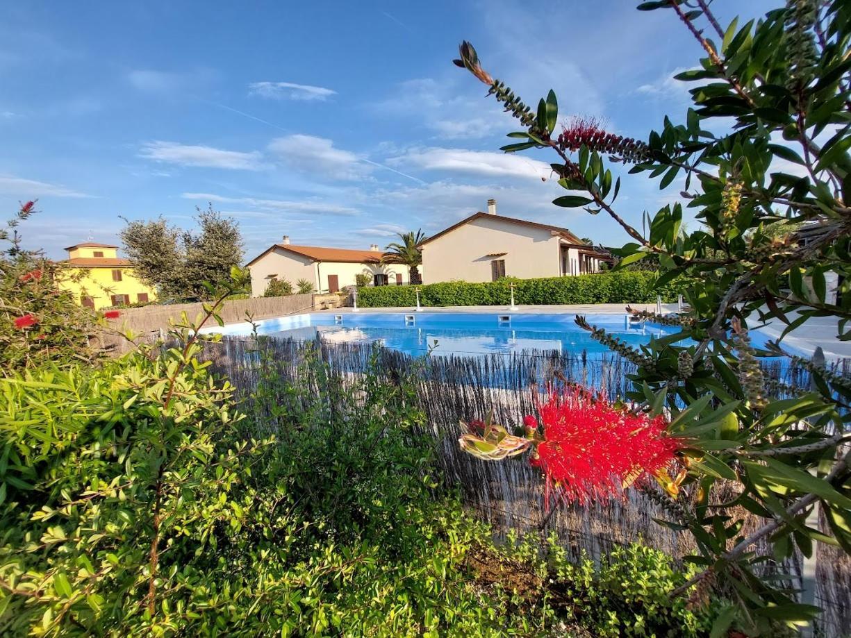 Agriturismo Il Tripesce Vada Exterior foto